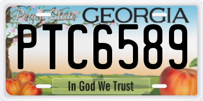 GA license plate PTC6589