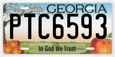 GA license plate PTC6593