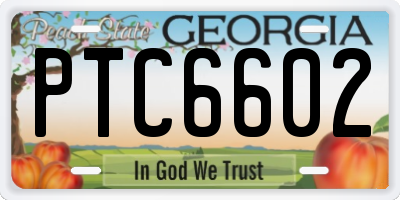 GA license plate PTC6602