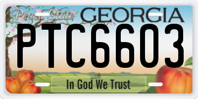 GA license plate PTC6603