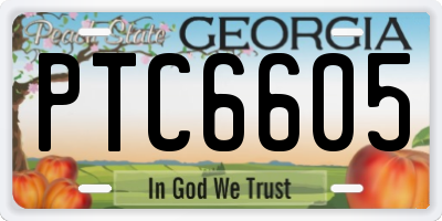 GA license plate PTC6605