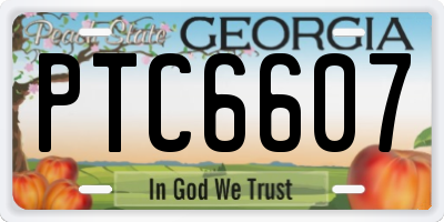 GA license plate PTC6607