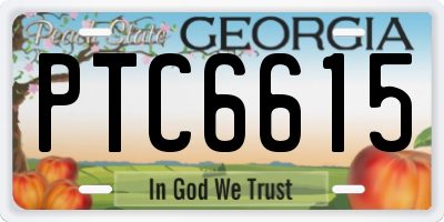 GA license plate PTC6615