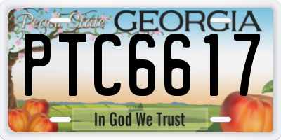 GA license plate PTC6617