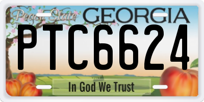 GA license plate PTC6624