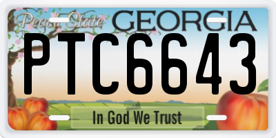 GA license plate PTC6643