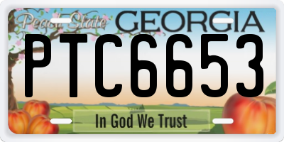 GA license plate PTC6653