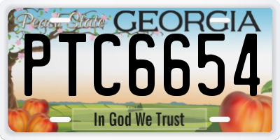 GA license plate PTC6654