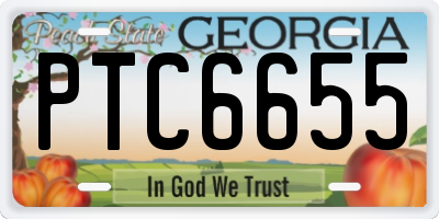 GA license plate PTC6655