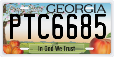 GA license plate PTC6685