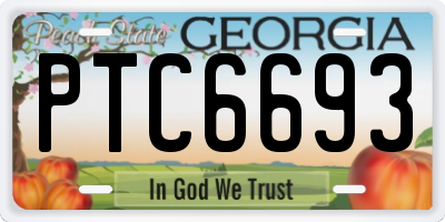 GA license plate PTC6693