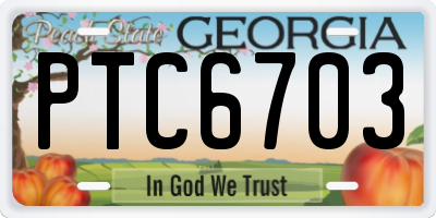 GA license plate PTC6703
