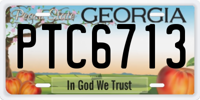 GA license plate PTC6713