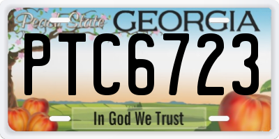 GA license plate PTC6723
