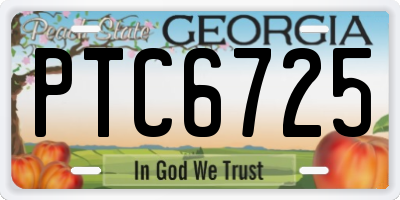GA license plate PTC6725