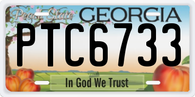 GA license plate PTC6733