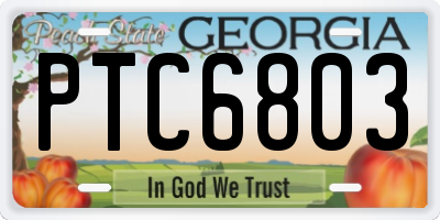 GA license plate PTC6803