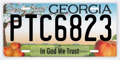 GA license plate PTC6823
