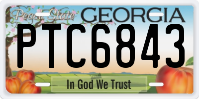 GA license plate PTC6843