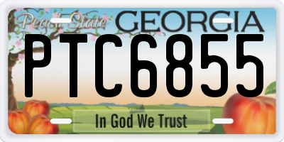 GA license plate PTC6855