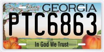 GA license plate PTC6863