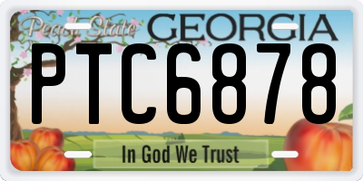 GA license plate PTC6878