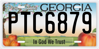 GA license plate PTC6879