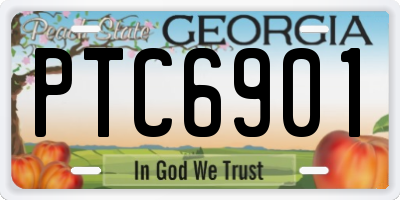 GA license plate PTC6901