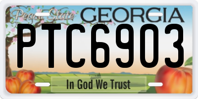 GA license plate PTC6903