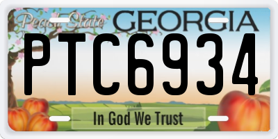 GA license plate PTC6934