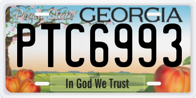 GA license plate PTC6993
