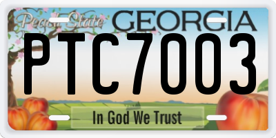 GA license plate PTC7003
