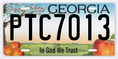 GA license plate PTC7013