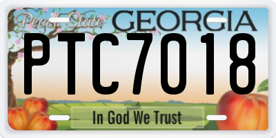 GA license plate PTC7018