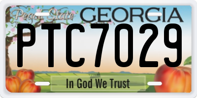 GA license plate PTC7029