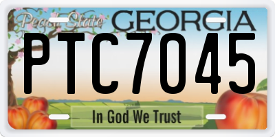 GA license plate PTC7045
