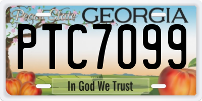 GA license plate PTC7099