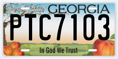 GA license plate PTC7103