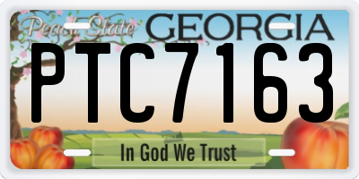 GA license plate PTC7163