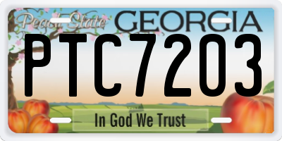 GA license plate PTC7203