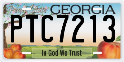 GA license plate PTC7213
