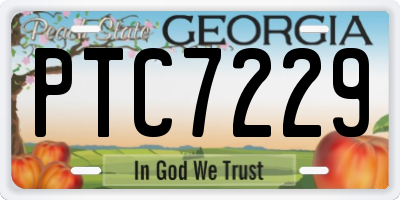 GA license plate PTC7229