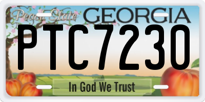 GA license plate PTC7230