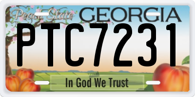 GA license plate PTC7231