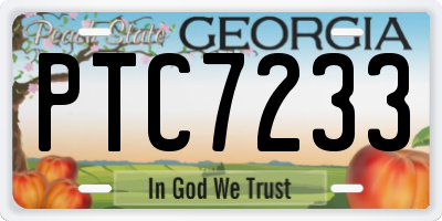 GA license plate PTC7233