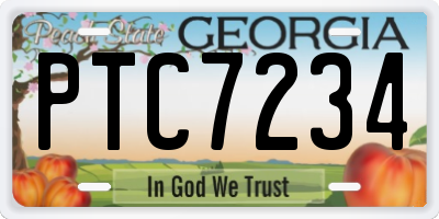 GA license plate PTC7234