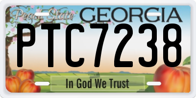 GA license plate PTC7238