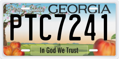 GA license plate PTC7241