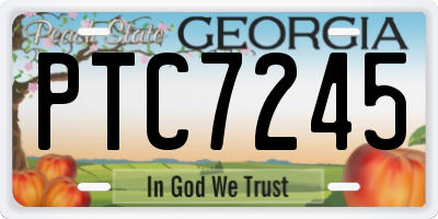 GA license plate PTC7245