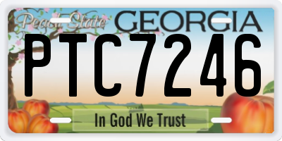 GA license plate PTC7246